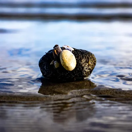 Seeadler 32 Dom wakacyjny *