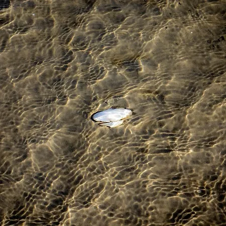 Seeadler 32 Dom wakacyjny Holnishof