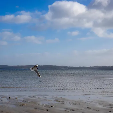 Seeadler 32 Dom wakacyjny