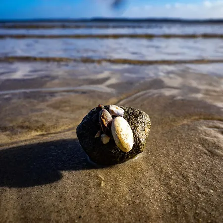 Seeadler 32 * Holnishof