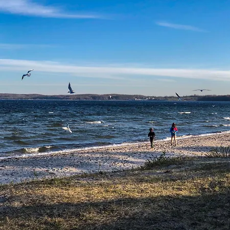 Dom wakacyjny Seeadler 32 Holnishof